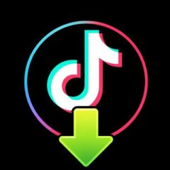 TikTok Downloader